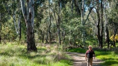 Immerse yourself in Indigenous culture with a walk on the Flats