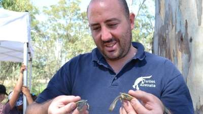 It's time to Talk Turtle