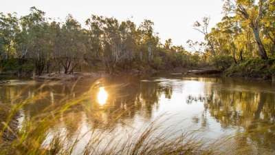 Improve your health and wellbeing with Meditation by the River