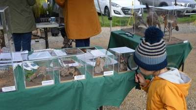 Nurture Nature at the Family Haven